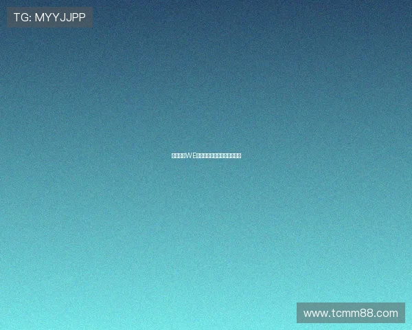 专业解析WE战队的阵地战策略与战术运用