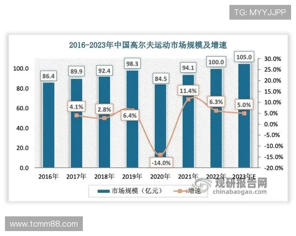 南京排球队比赛经验深度对比分析与提升策略探讨